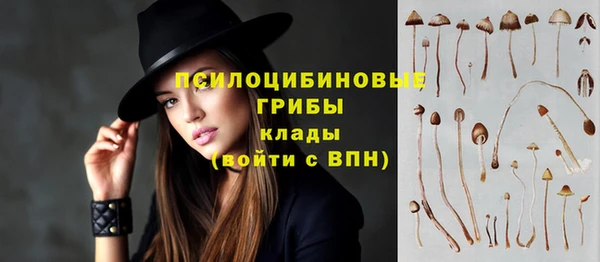 мяу мяу мука Орск