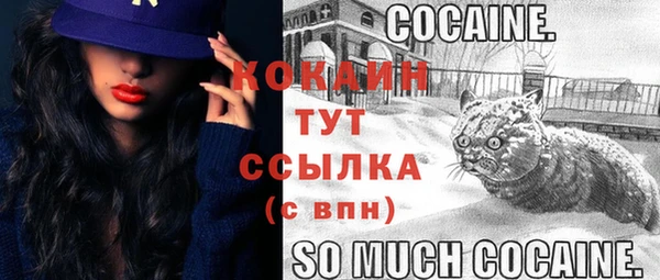 гидропоника Елизово