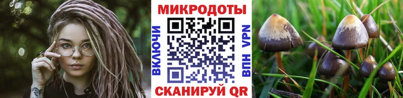 Псилоцибиновые грибы Psilocybe  продажа наркотиков  Жердевка 
